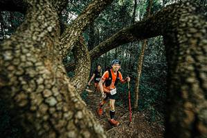 BIB: 
                            <button type="button" onclick="openModal(25669729)" class="btn btn-primary btn-sm float-right btn-popup" data-toggle="modal" data-target=".modal-high-quality">
                        <i class="fas fa-shopping-cart"></i> Add to Cart
                    </button>
                                            <button type="button" onclick="isThisMe(25669729, true)" class="btn btn-success btn-sm float-right btn-popup btn-isme hidden" data-toggle="tooltip" data-placement="bottom" title="นี่คือรูปของคุณใช่ไหม คลิกที่นี่เพื่อเอาเข้าอัลบั้ม">
                        <i class="fas fa-plus"></i> Add to album
                    </button>
                    <button type="button" onclick="isThisMe(25669729, false)" class="btn btn-warning btn-sm float-right btn-popup btn-isnotme hidden">
                        <i class="fas fa-ban"></i> Remove from album
                    </button>